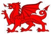 Y Ddraig Goch - the Red Dragon of Wales